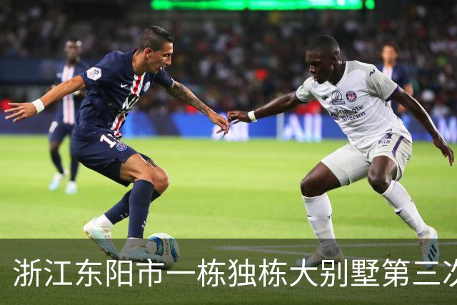 浙江东阳市一栋独栋大别墅第三次拍卖，底价1018万成交